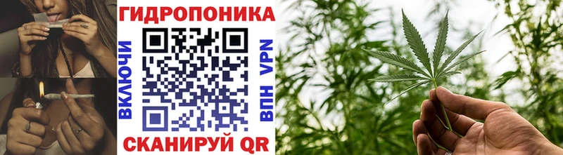 NBOMe Химки
