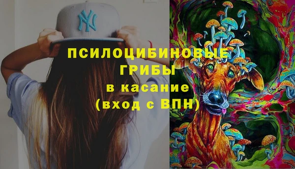 трава Михайловск