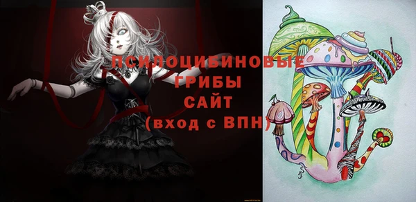 mdpv Михайлов