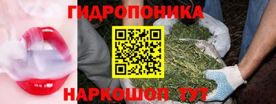 кокаин Новодвинск